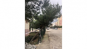 ÇANAKKALE BELEDİYESİ'NDEN BİLGİLENDİRME