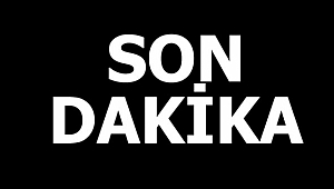 Çanakkale'de korkutan orman yangını