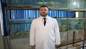 Kur'an-ı Kerim dinletilen balıklar daha hızlı büyüyor