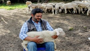 Doğa ve hayvan sevgisiyle 40 yıldır çobanlık yapıyor