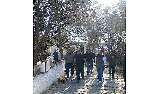 VALİ AKTAŞ, YANGINDAN ETKİLENEN KÖYLERDE İNCELEMELERDE BULUNDU