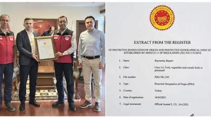 AB TESCİLLİ BAYRAMİÇ BEYAZI BELGESİ İL MÜDÜRLÜĞÜ'NDE