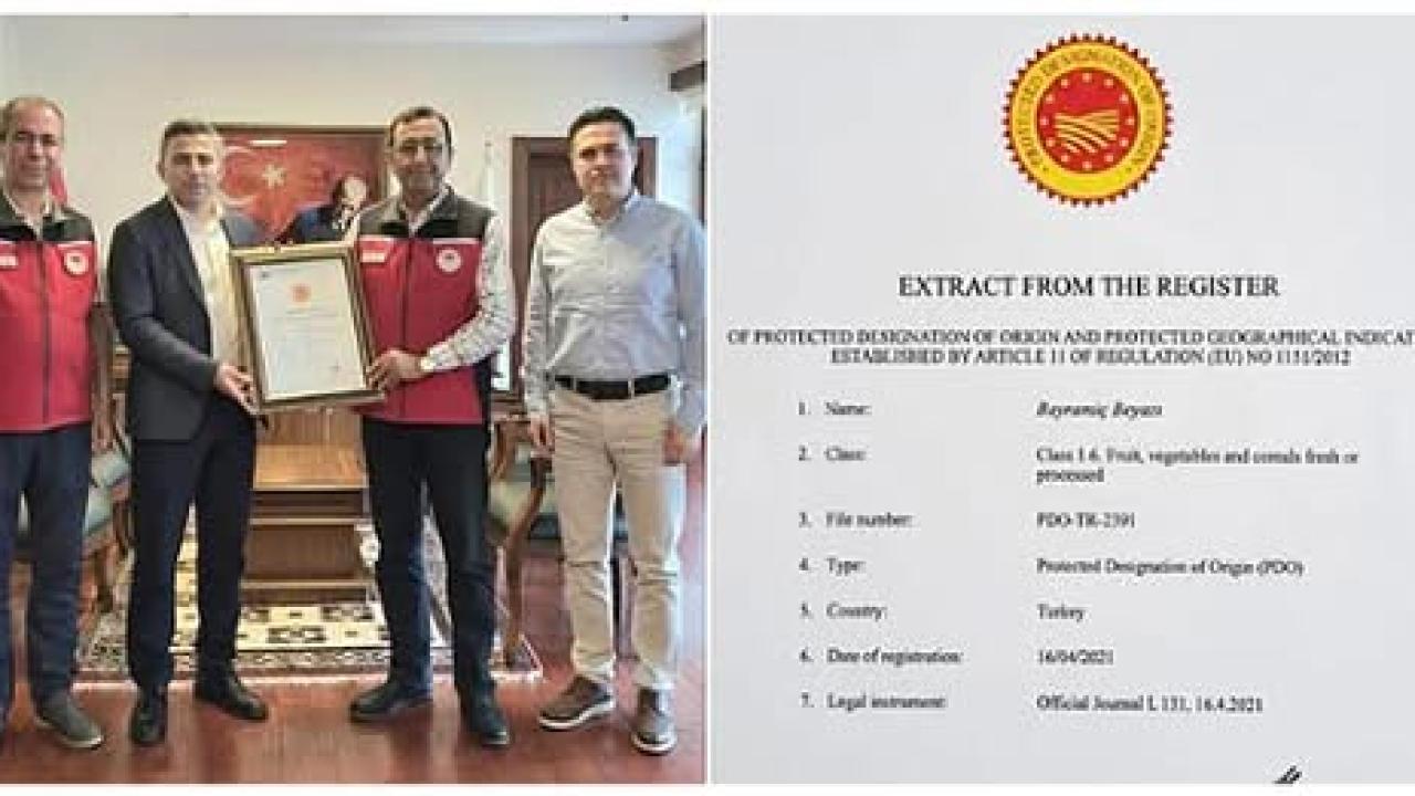 AB TESCİLLİ BAYRAMİÇ BEYAZI BELGESİ İL MÜDÜRLÜĞÜ'NDE